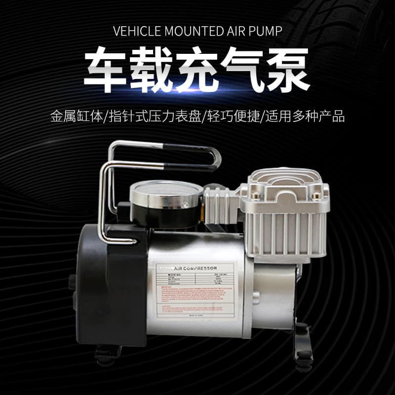 220V National Standard Plug Air Pump, Household Electric Air Pump for Car and Motorcycle