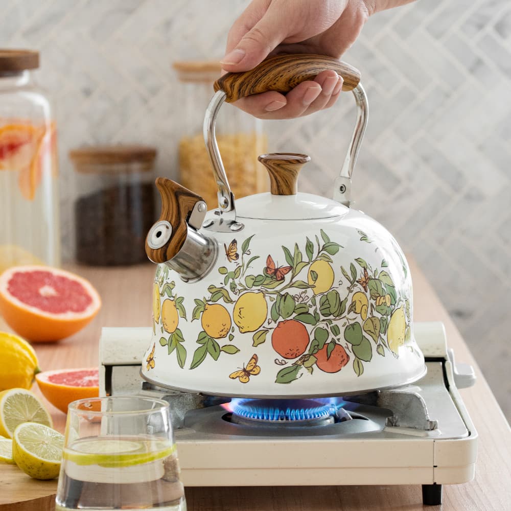 Cross-border Creative Fresh Plant Whistling Kettle European-style Stainless Steel Water Boiler 3L New Lemon Whistling Kettle