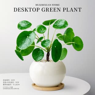 Mirror Grass Potted Plant, Old Stump, Internet-Famous Nordic Style Plant, Four-Season Indoor Office Living Room Desktop Green Plant Bonsai