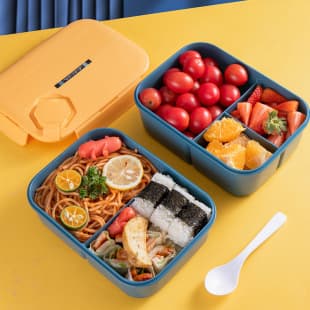 Food-Grade Insulated Sealed Plastic Lunch Box with Compartments and Lid, Outdoor Portable Picnic Bento Box, Microwave-Safe