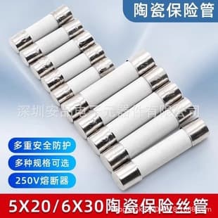 5x20 Ceramic Fuse Tube 6*30mm 3/4/5/6.3/10/3.15/10/15A Sand-Filled Fuse 250V