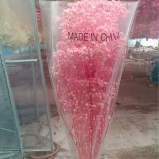 Preserved Baby's Breath Wholesale, Yunnan Preserved Baby's Breath White 120g