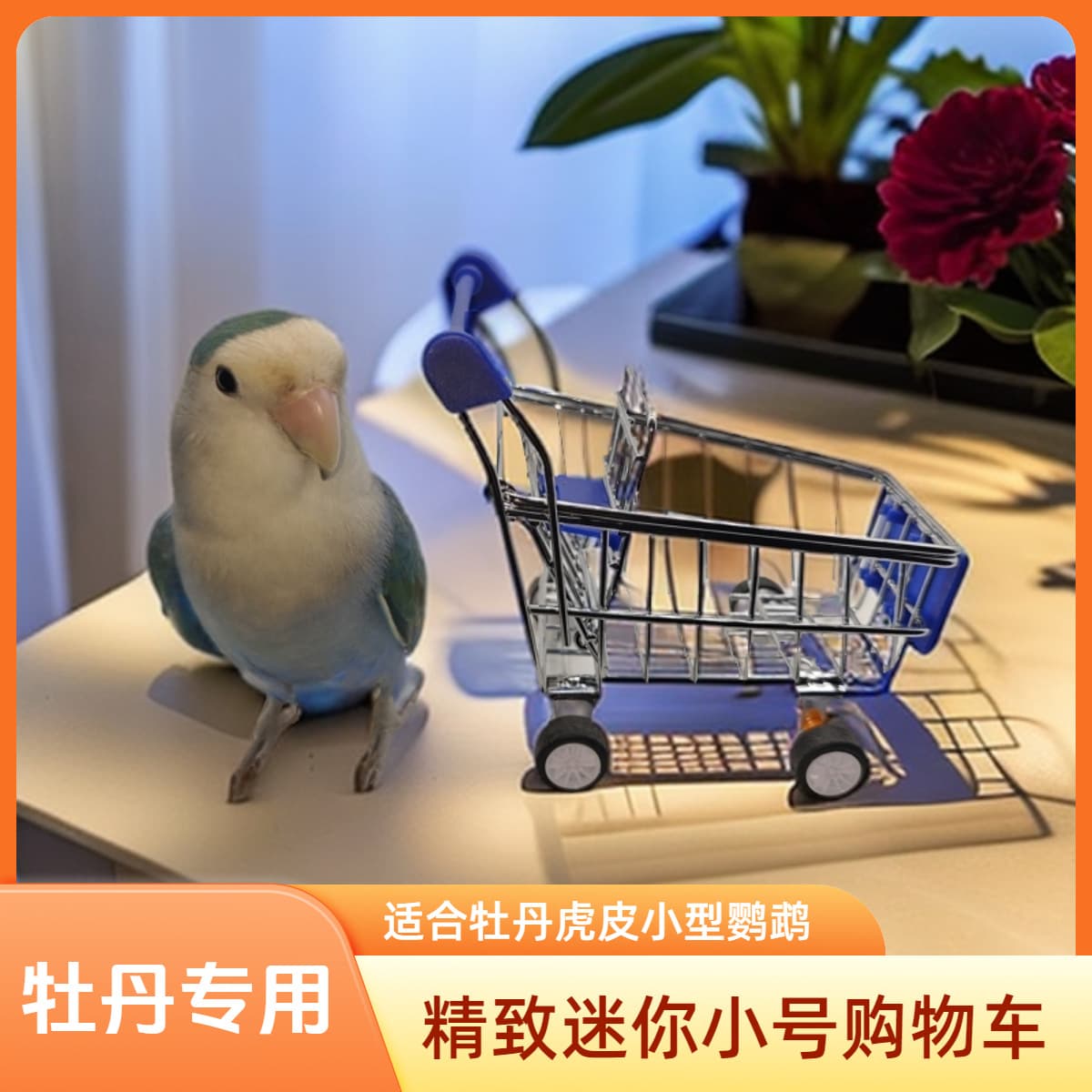 Parrot intelligence training toys props shopping cart trolley metal car tiger skin peony black phoenix upgraded version