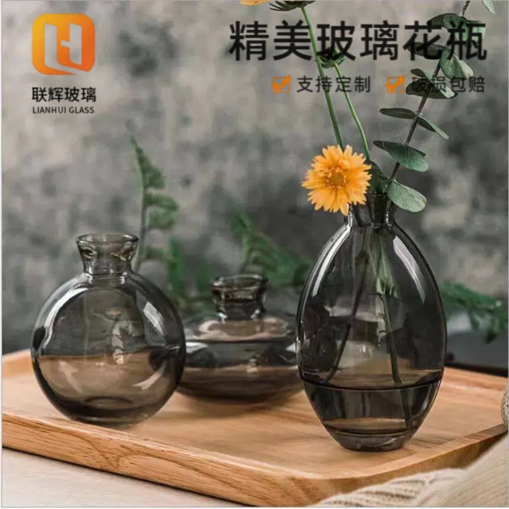 Nordic Ins Style Mini Vase, Glass Vase for Flowers and Green Plants, Desktop Decoration Small Vase