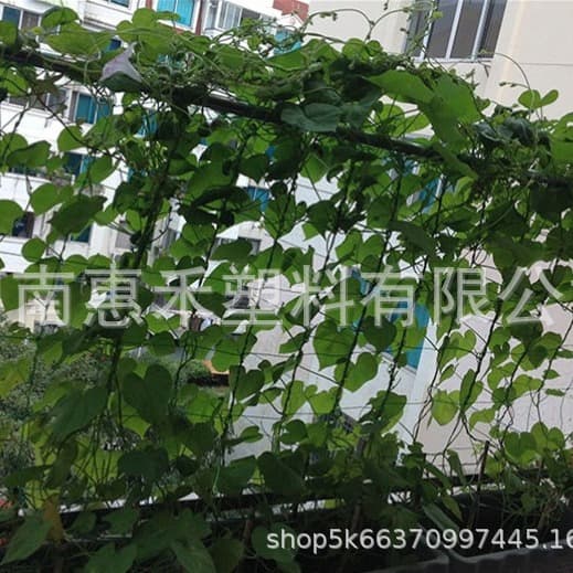 Wholesale Vine Plant Trellis Net for Passion Fruit, Roses, Beans, Luffa, and Bitter Melon Climbing Support
