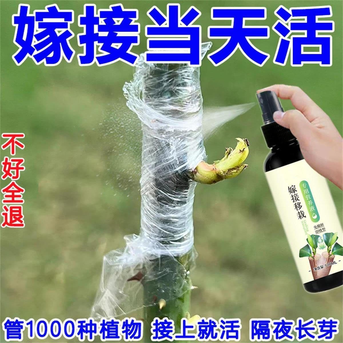 Distributor and Supplier of Grafting Activation Solution, a Magical Product for Fruit Tree Grafting, Plant Bonsai, Flower Wound Protection and Healing Agent, Universal Use