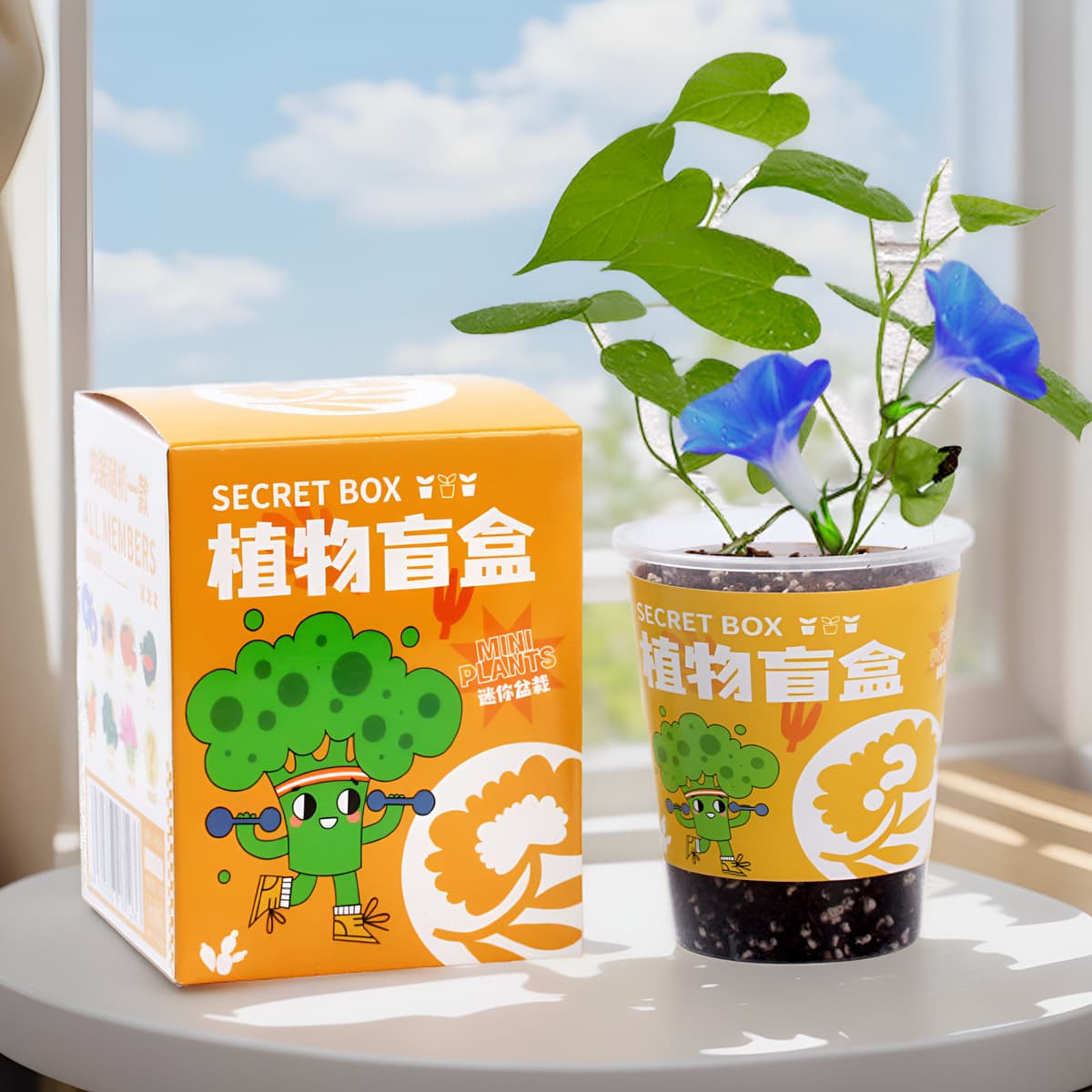 Mini Seedling Planting Kit for Kids, School Garden Project, Kindergarten Plant Growth Observation Educational Toy