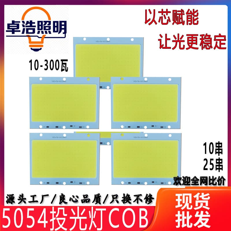 Isolated 10-string 25-string High Power Floodlight COB Light Source 10W 50W 100W 150W 200W High Power COB