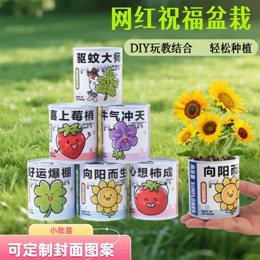 Kids Reward Gift Mini Potted Plant Indoor Desktop Small Green Plant Plantable Trendy Decorative Mini Potted Plant