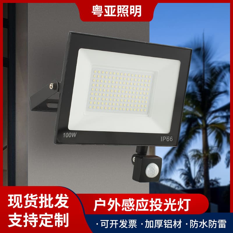 Human body sensor floodlight 10W 50W 150W Apple style light-controlled sensor outdoor courtyard waterproof LED floodlight
