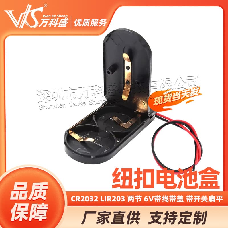 Button battery CR2032 LIR203 2 pieces 6V with wire with cover with switch battery box flat
