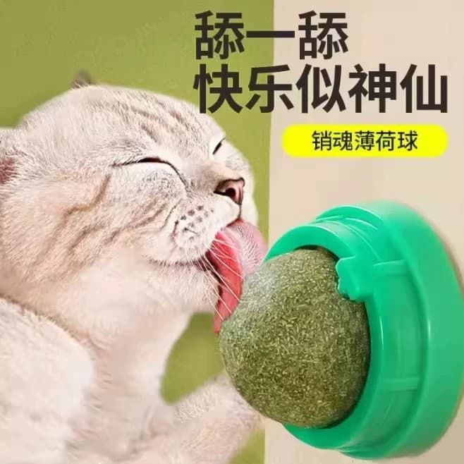 Catnip Ball Cat Toy for Self-Entertainment and Boredom Relief, Kitten Supplies, Cat Grass Ball, Teething Stick, Magic Cat Toy Ball