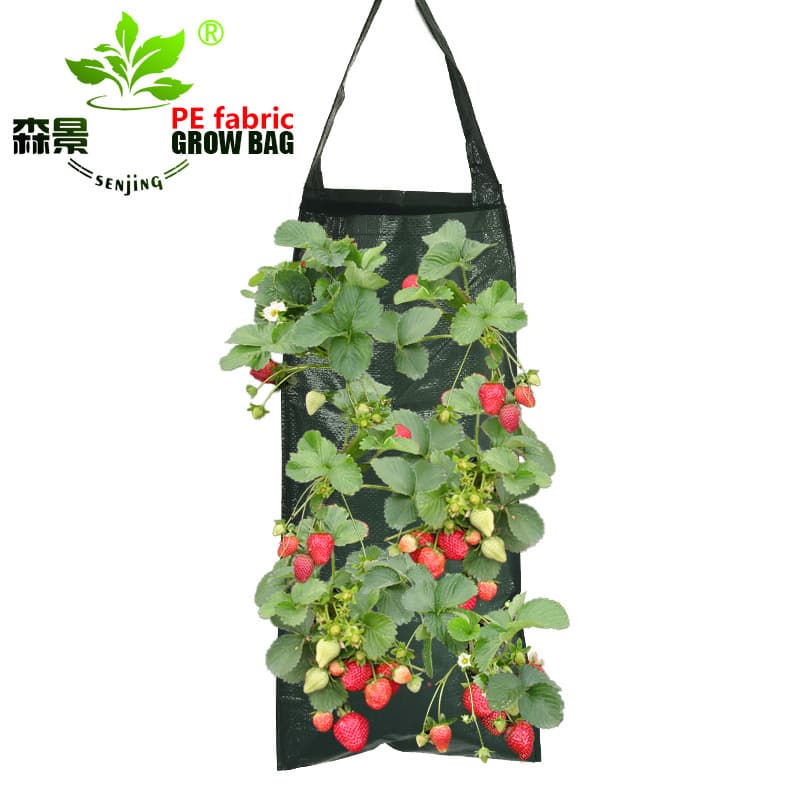 Senjing Pe Hanging Strawberry Planting Bag Plant Bag Hanging Grow Bag Growth Bag Nursery Bag Flower Pot
