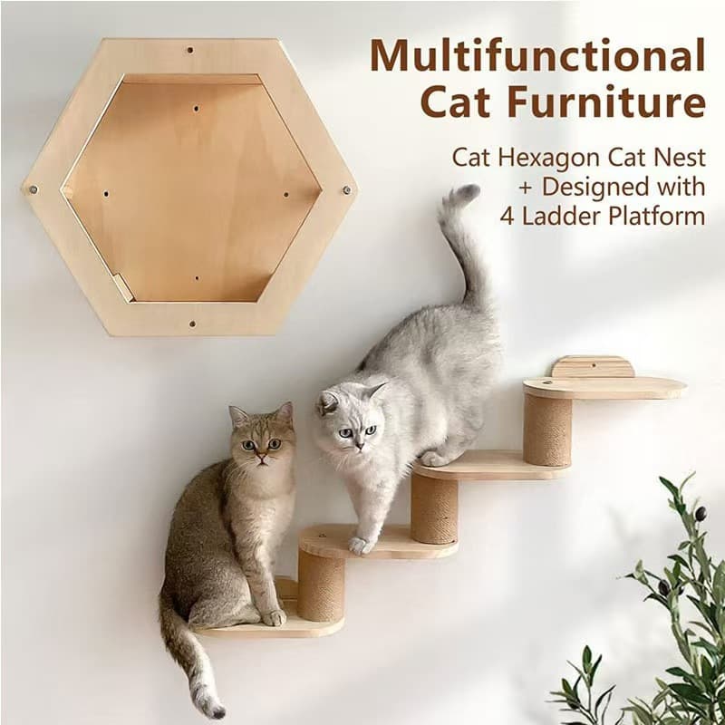 Amazon Wall-Mounted Wooden Cat Climbing Frame DIY Space Capsule Wall-Mounted Wooden Cat Jumping Platform Cat Toy