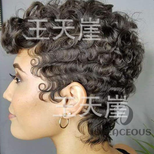 Cross-border Hot Selling African Wigs, European and American Wigs for Women Small Curly Hair Synthetic Fiber Wig Caps Factory Direct Wholesale