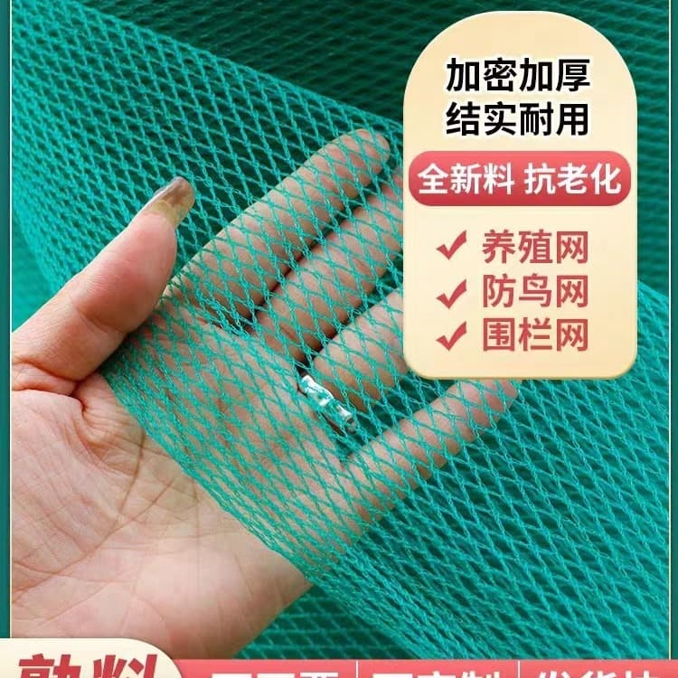 Chicken Netting, Poultry Fence, Orchard Bird Net, Protective Net, Hail Net, Greenhouse Bird Net, Garden Net