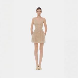 Summer 26 Vietnam Niche Trendy Brand Celebrity Fairy Strapless Nude Sexy Mesh Light Luxury Bodycon Mini Dress In Stock