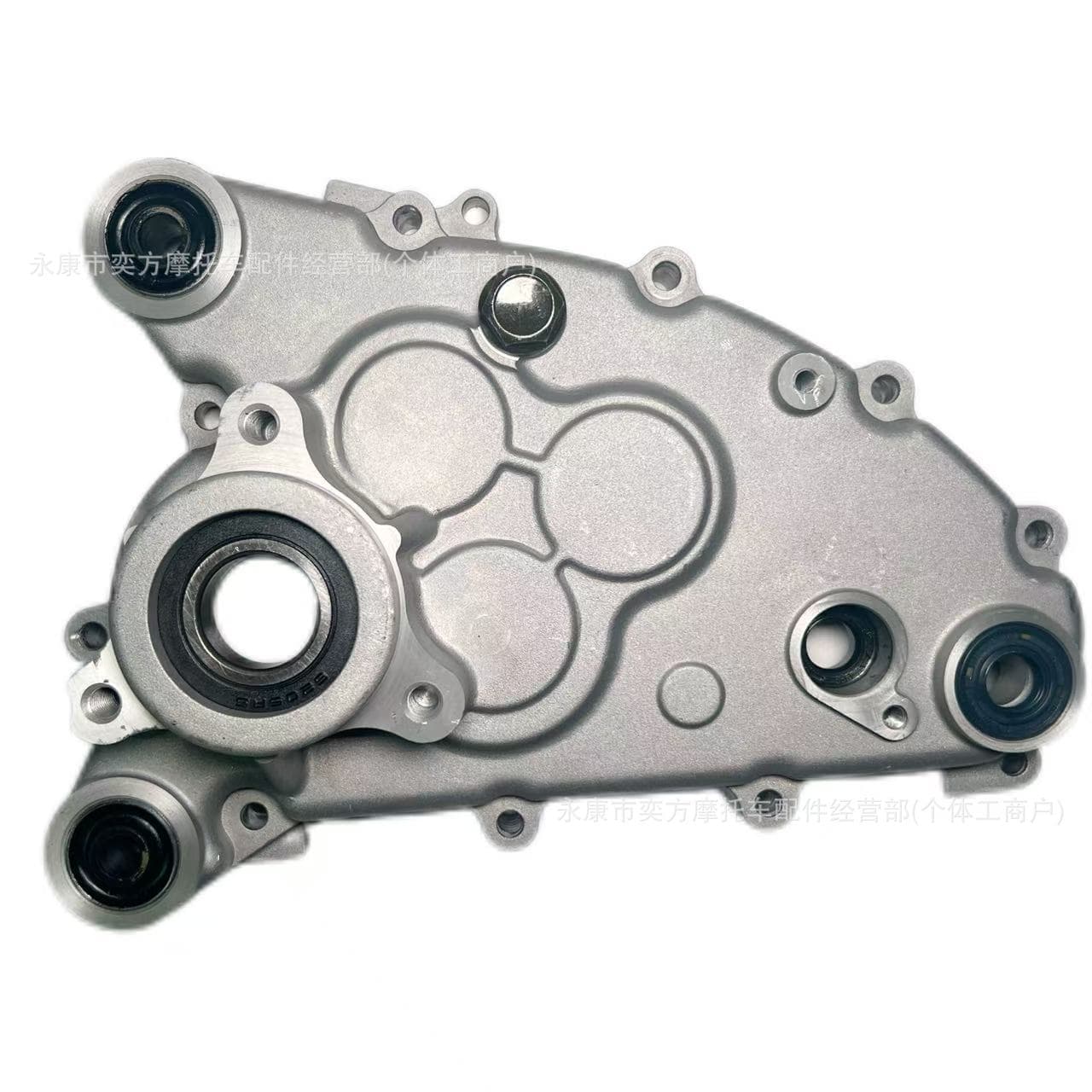 Jinlang Balanced Shaft Transmission Cover Assembly GY6 Jinlang 150-200cc Engine Parts