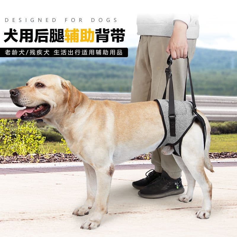 Cross-border Pet Dog Rear Leg Support Harness for Injured Dogs, Elderly Dog Rehabilitation Aid, Assistive Walking Harness, Drop Shipping XJ