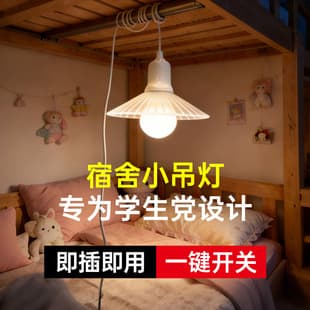 Dormitory Bed Flower Pendant Light Plug-in Hanging Lamp for Bunk Beds Curtain Interior Use Bedroom Night Light
