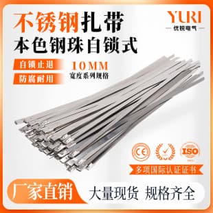 10mm Width 304 Stainless Steel Cable Ties Self-Locking Outdoor High Temperature Marine Bundling Metal Anti-Corrosion Cable Ties
