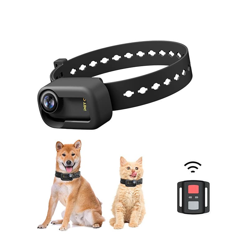 Cross-border pet collar cat and dog first-person perspective vlog camera, wireless remote control 4K30 pet camera