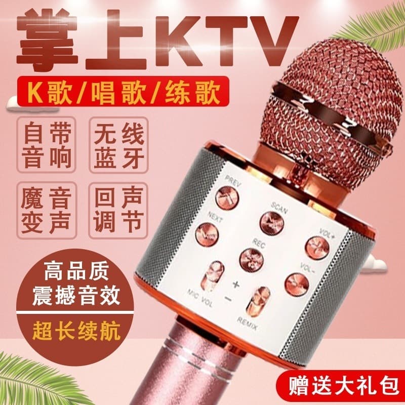 Microphone Speaker All-in-One for Kids Echo Singing KTV Home Wireless Bluetooth Microphone Mobile Phone Karaoke