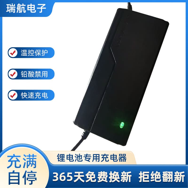 Lithium Battery Electric Vehicle 60V Electric Car Lithium-Ion Harley Balance Car Electric Vehicle Charger, Charging Prohibited