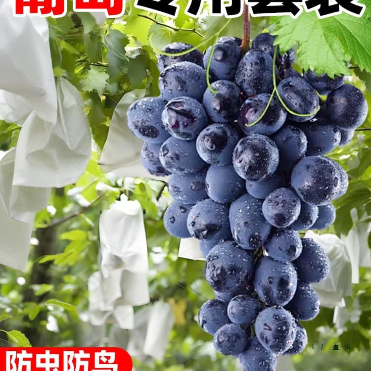 Grape bags for insect and bird protection, suitable for outdoor use, like rose paper bags, double-layered fruit protection bags, reusable.