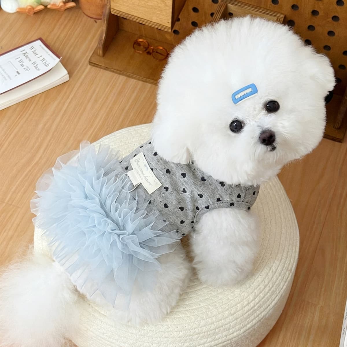 Dog Clothes Pet Spring and Summer New Style Teddy Bichon Clothing Korean Style Ins Suspender Dress Breathable Princess Dress Wholesale