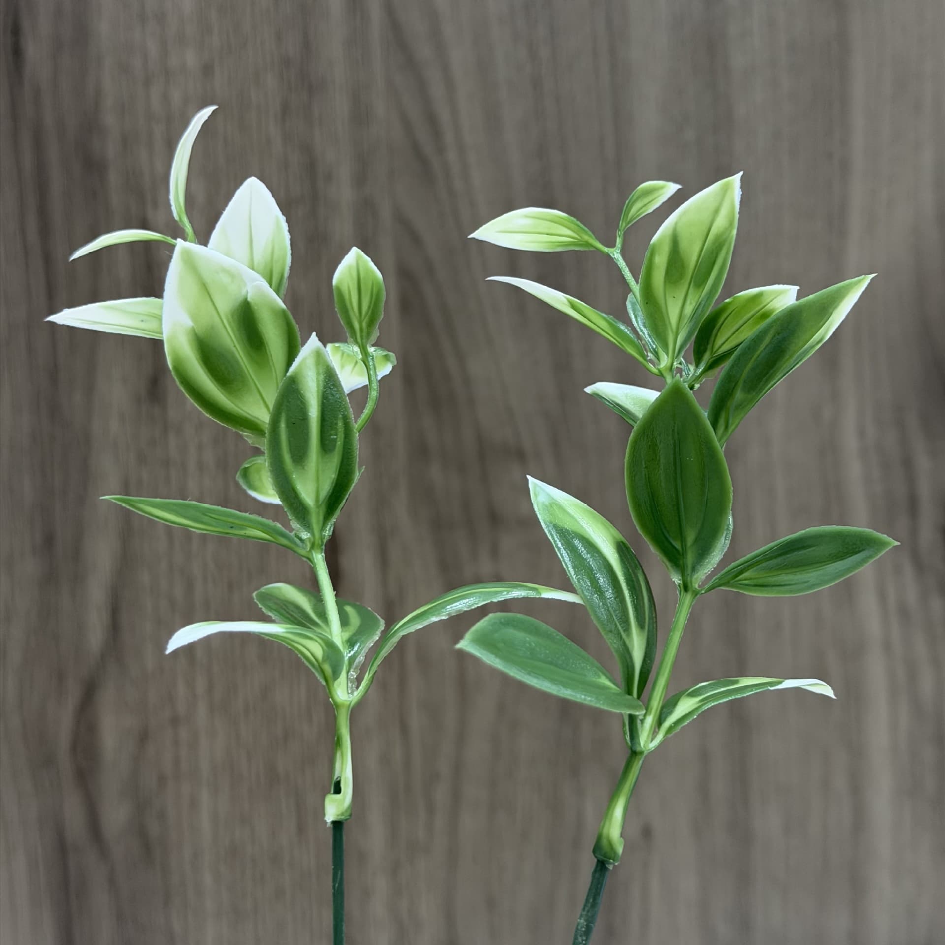 Hot-selling simulated fake green plant potted plant decoration plastic aquatic plant simulated wall hanging artificial flower plant diy
