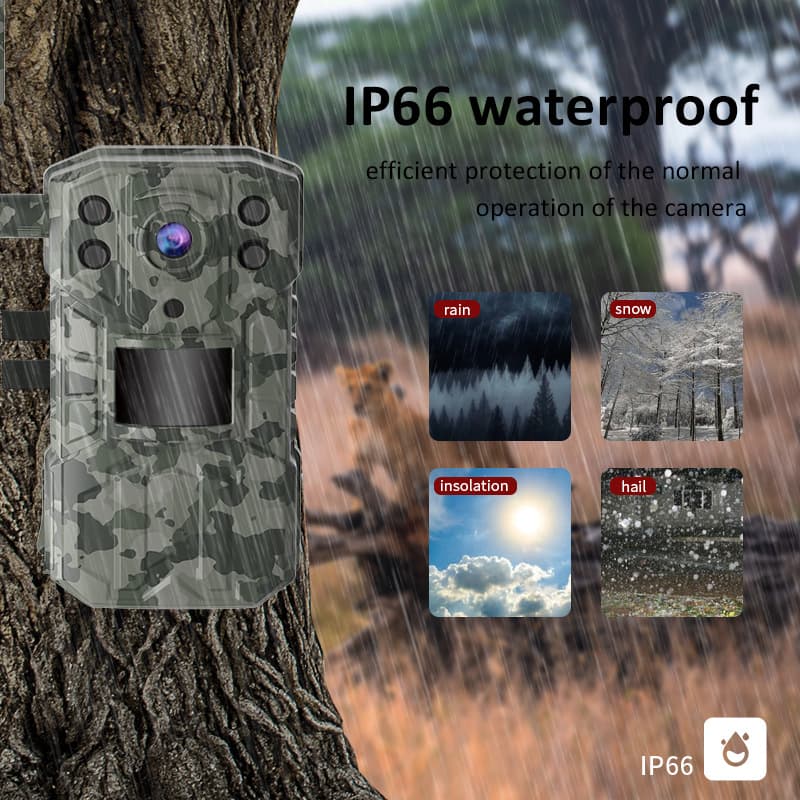 Hunting camera, intelligent night vision camera, 4MP
