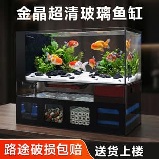 Small Living Room Aquarium with Filter, All-in-One Bottom Filter Fish Tank, Desktop Fish Tank, Ultra Clear Glass Turtle Tank
