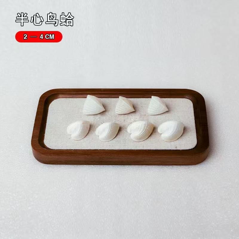 Chicken Heart Clam Love Clam Natural Small Conch Shell Lover's Chinese Valentine's Day Birthday Gift Heart to Heart Collectible Crafts