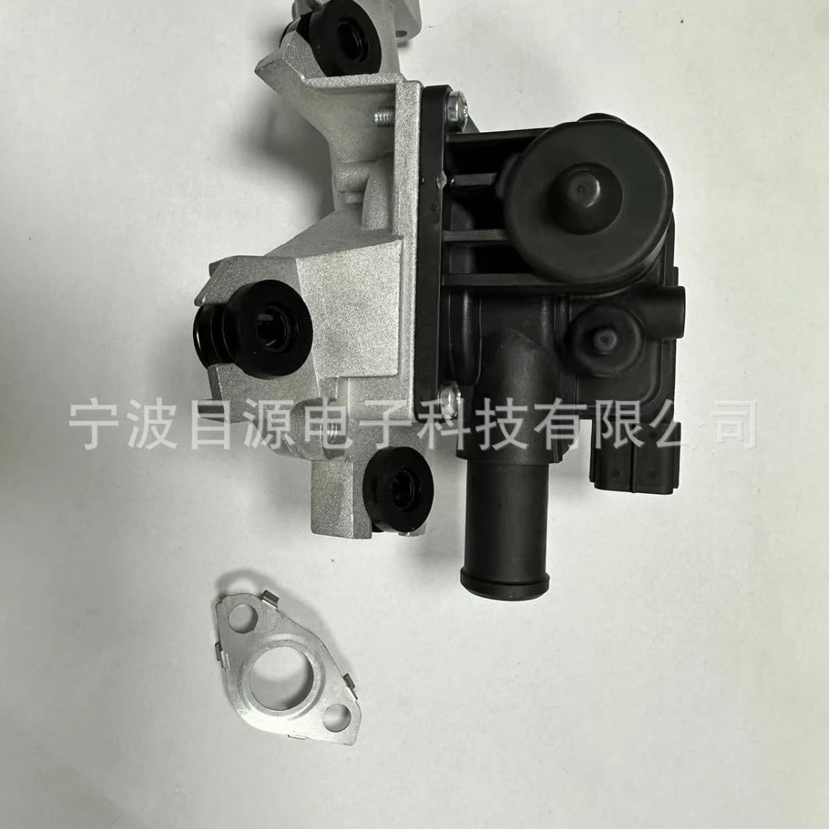 Secondary air check valve 911607 2570138100