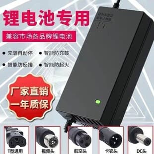 Lithium battery electric vehicle charger 48V, universal for electric vehicles, lithium-ion Harley balance cars