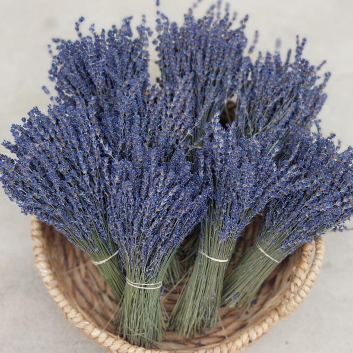 Sleep Aid Natural Dried Lavender Flowers Xinjiang Yili Lavender Sachet Aromatherapy Home Decoration Real Flowers Preserved Flowers