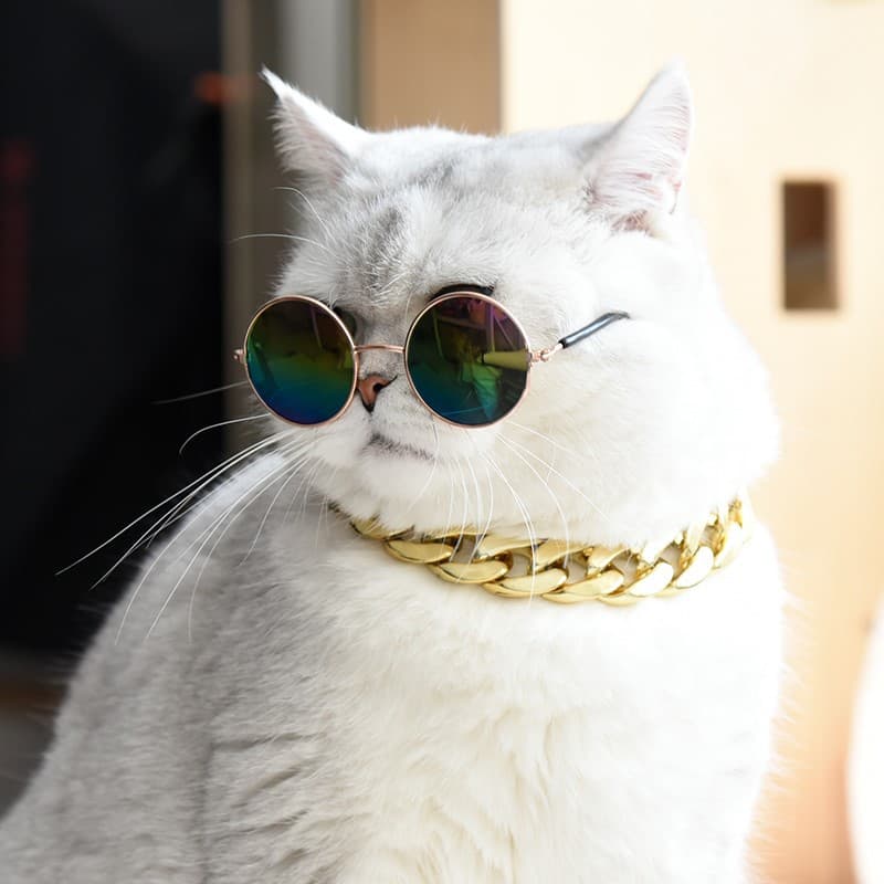 Pet Dog Collar Cat Gold Chain Silver Necklace Accessory French Bulldog Cat Photo Pug Teddy Dog Bully Gold