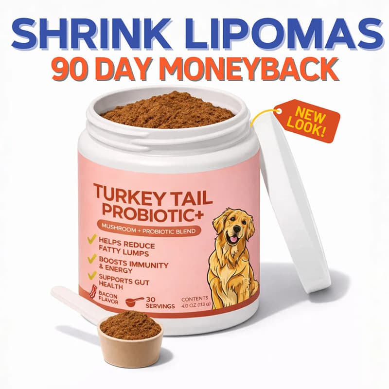 In stock free shipping 113g pet turkey tail mushroom powder TURKEY Amazon TK cross-border hot selling factory wholesale
