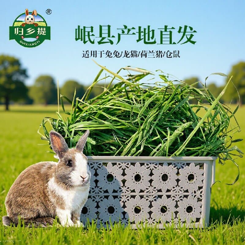 Rabbit Food Timothy Hay - 500g Dry Hay for Dutch Pigs, Rabbit Feed, and Chinchilla Main Diet Wholesale