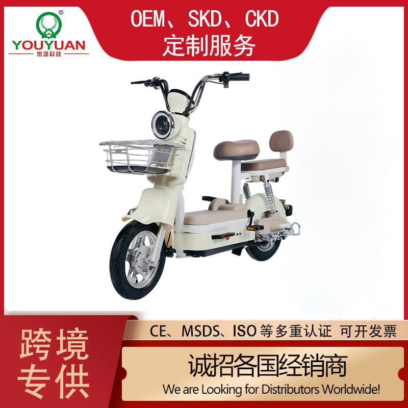 Cross-border export factory wholesale new modern electric scooter for men and women universal new battery car two-wheeled electric bicycle