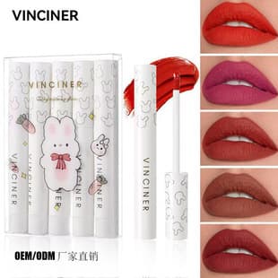 Cross-border VINCINER Bestseller 5-Pack Cartoon Lip Gloss Set Matte Velvet Non-Stick Lipstick Wholesale