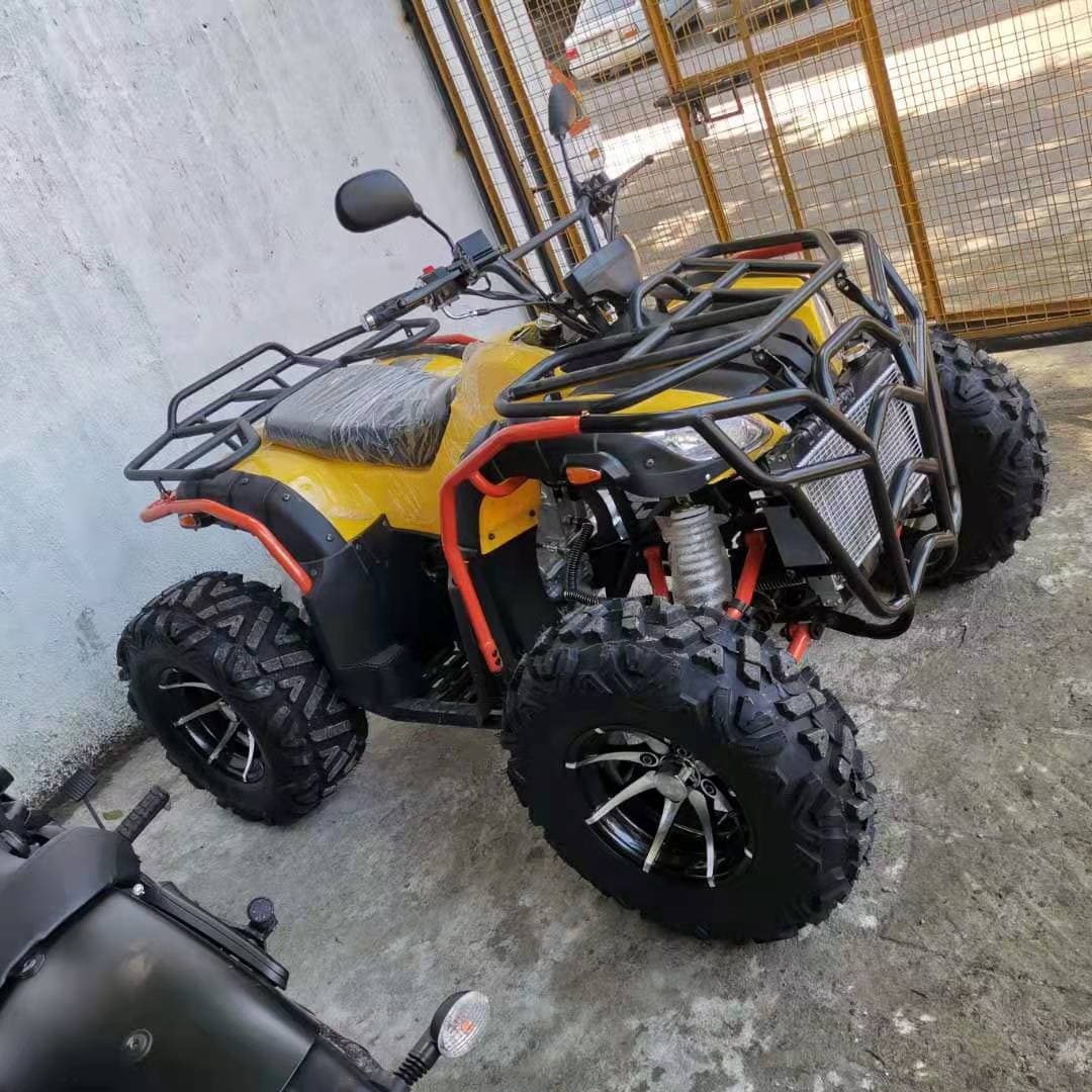 All-Wheel Drive Racing Sand Kart for Outdoor Fun Drifting Gasoline Cross 250cc Sand Kart