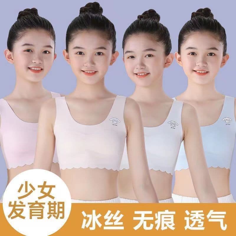 Ice Silk Seamless Bra for Girls 12 Summer Ice Silk Teen Anti-Nipple Bra for Middle and Primary School Students Girls Bra