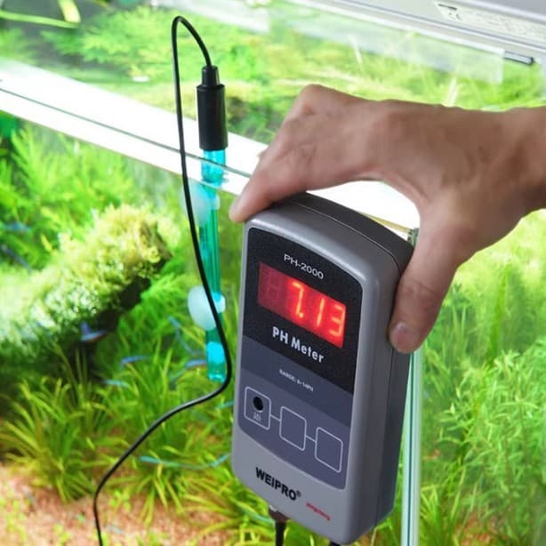 Weipro Ph2000/2010/Orp-3000 Fresh and Saltwater Fish Tank Ph Monitor Test Meter