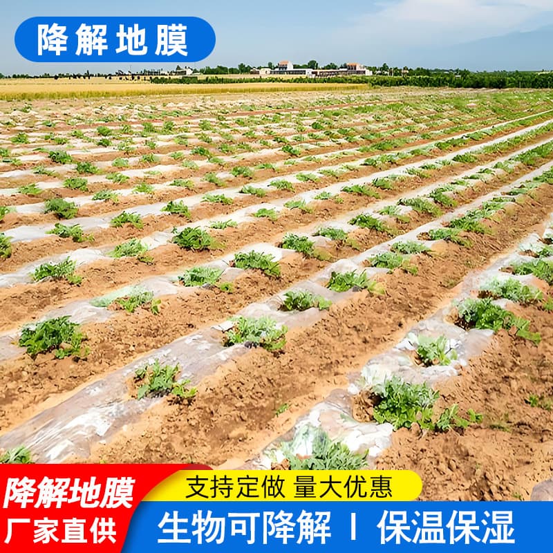 Degradable agricultural mulch film, thickened for planting corn, watermelons, insulating vegetable gardens, plastic film, environmentally friendly and degradable.