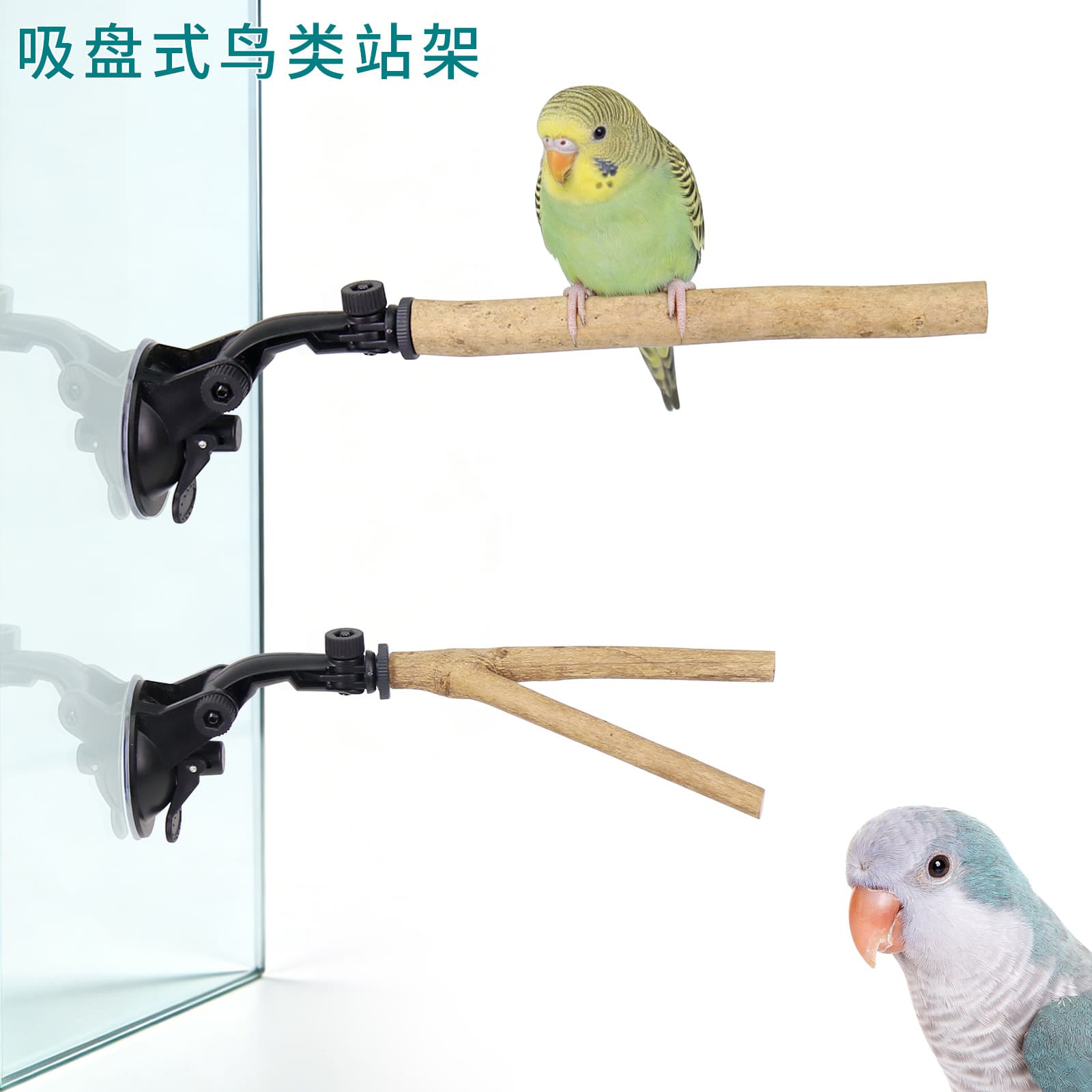 Parrot Suction Cup Perch Car Suction Cup Perch Rhododendron Root Stick Portable Suction Cup Stand with Parrot Toy