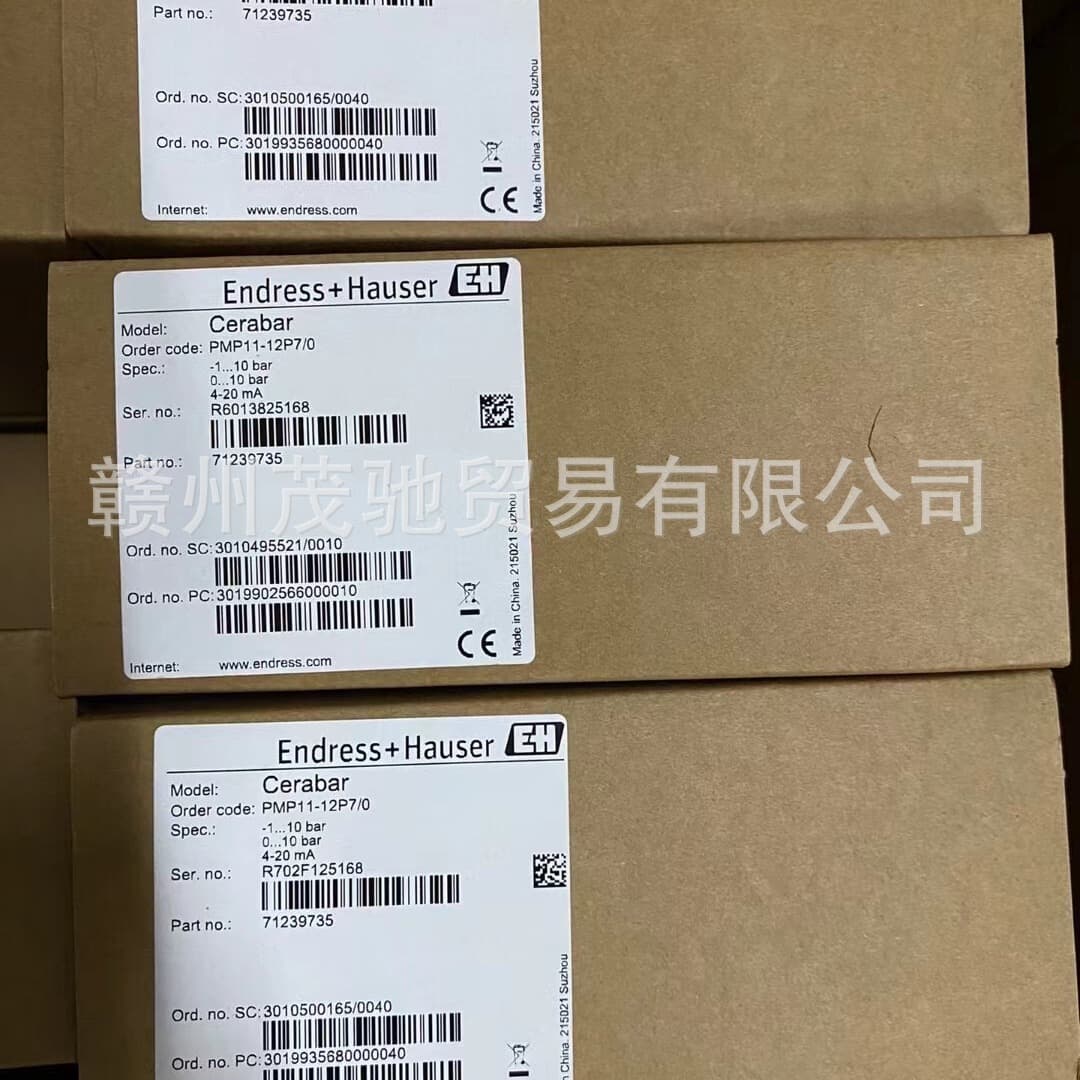 E+H PMP11-AA1U1PBWJJ (PMP11-12P7/0), PMP11-AA1U1QBWBJ