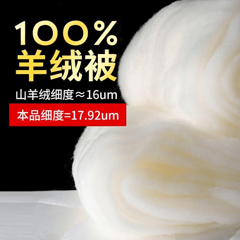 Self-heating Deep Sleep Cashmere Quilt, Pure Ultra-fine Wool Winter Quilt Thickened Warm Duvet Duvet Inner Spring/Autumn Wholesale