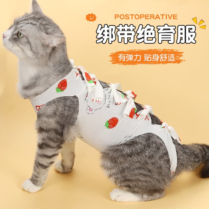 Cat Spay Suit, Mother Cat Weaning Suit, Post-Surgery Anti-Licking Clothes for Female Dogs, Cats, Male Cats, Cat Surgery Suit with Straps